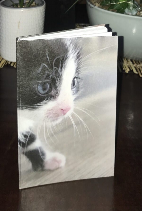 Een schattig zwart-wit kitten op een notitieboekje. Het is een beetje spannend zo om zijn eerste stapjes te zetten. Wat is de wereld groot. Zo schattig!