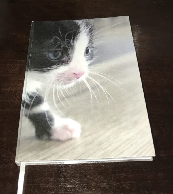 Een schattig zwart-wit kitten op een notitieboekje. Het is een beetje spannend zo om zijn eerste stapjes te zetten. Wat is de wereld groot. Zo schattig!