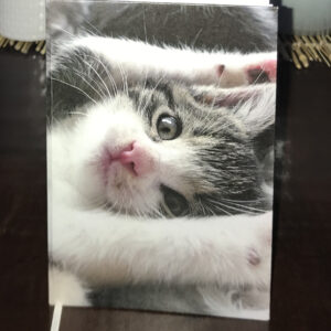 Een notitieboekje met een lief katje op de cover.