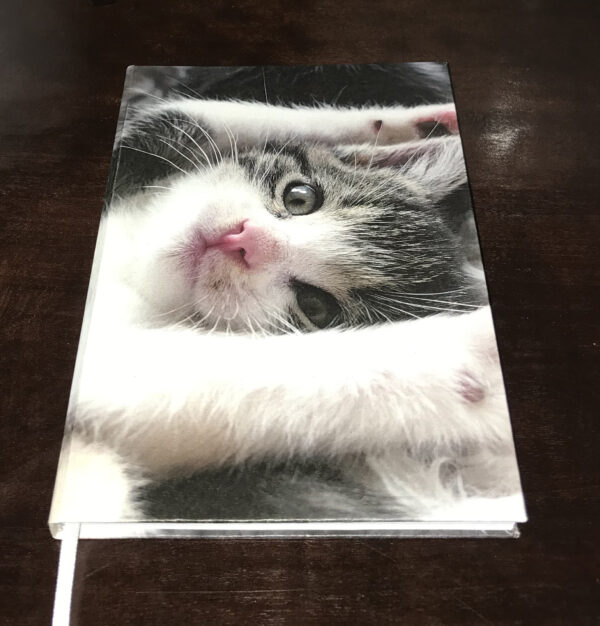 Notitieboekje kitten - Afbeelding 2