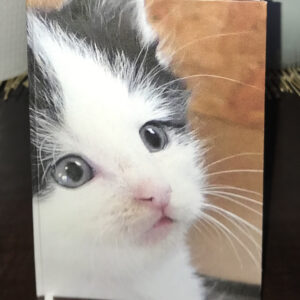 Notitieboekje kitten