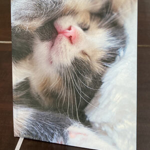 Notitieboekje Stille tijd kitten in dromenland