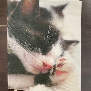 Notitieboekje Stille tijd slapende kitten