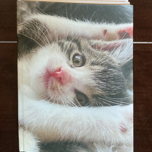 Notitieboekje Stille tijd kitten